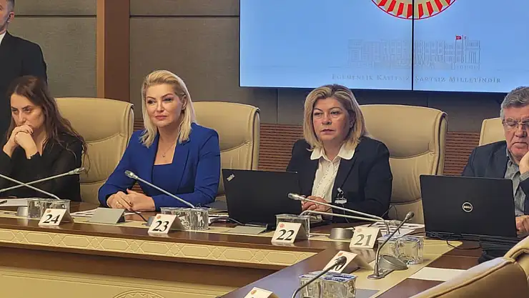 TBMM Kadına Karşı Şiddeti Araştırma Komisyonu ünlü TV sunucusu Zahide Yetiş'i dinledi