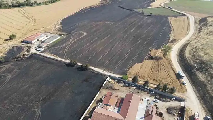 Tekirdağ'da 100 dönüm tarım arazisi yandı