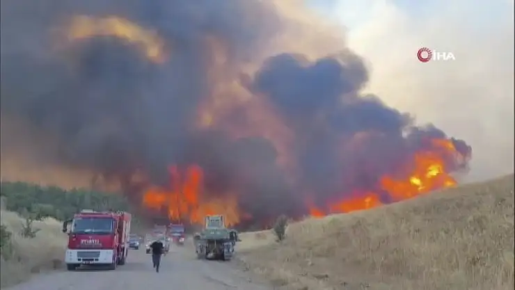 Tekirdağ'da 150 hektarlık alan kül oldu
