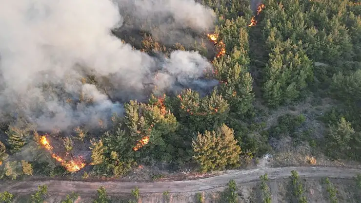 Tekirdağ Şarköy'de başlayan yangın Çanakkale'ye sıçradı: Köyler tahliye edildi