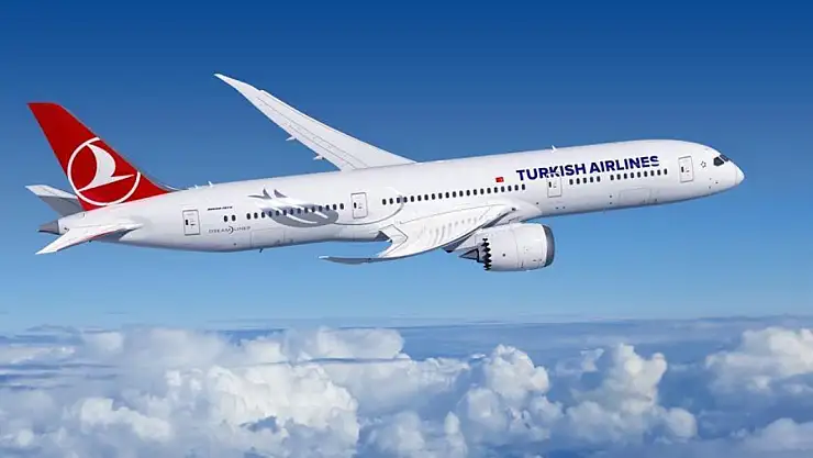 THY'nin Almanya Seferlerine Grev Engeli