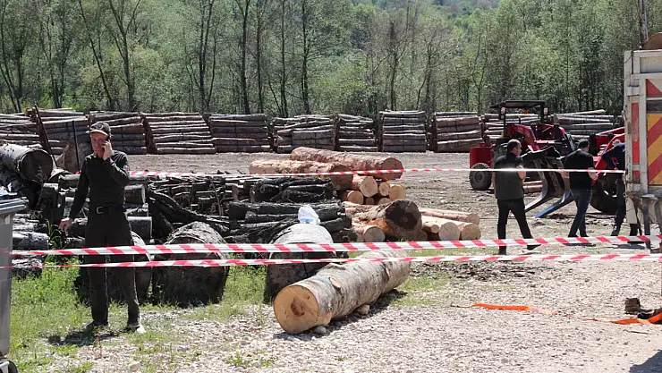 Tonlarca tomruk üzerine devrildi, hastanede hayatını kaybetti