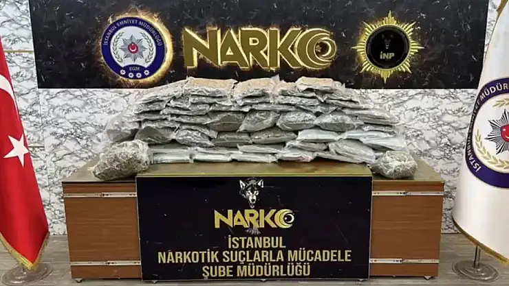 Tonlarca uyuşturucu madde ele geçirildi