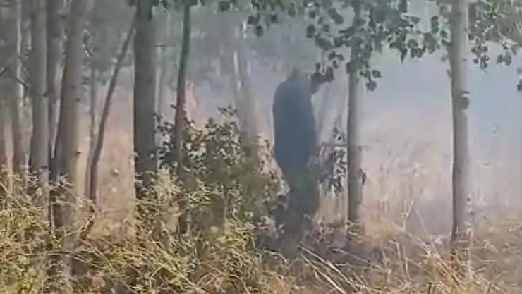 Türkiye-İran sınırında yangın!