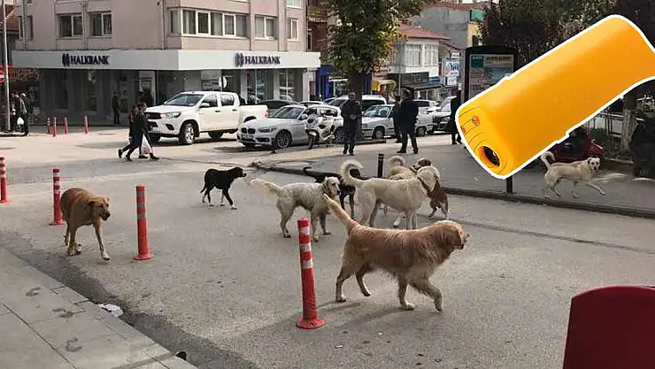 Vatandaş çözümü 'Köpeksavar'da buldu