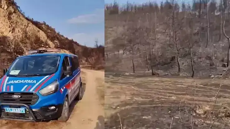 Yanan ormanda erkek cesedi bulundu