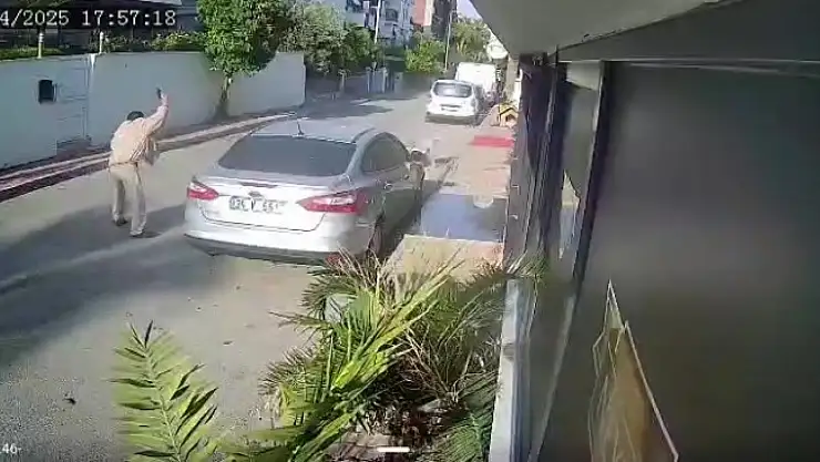 Yaşlı adam kendisine saldıran köpeği vurdu