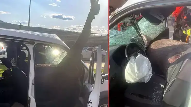 Yola fırlayan at polis aracına girdi