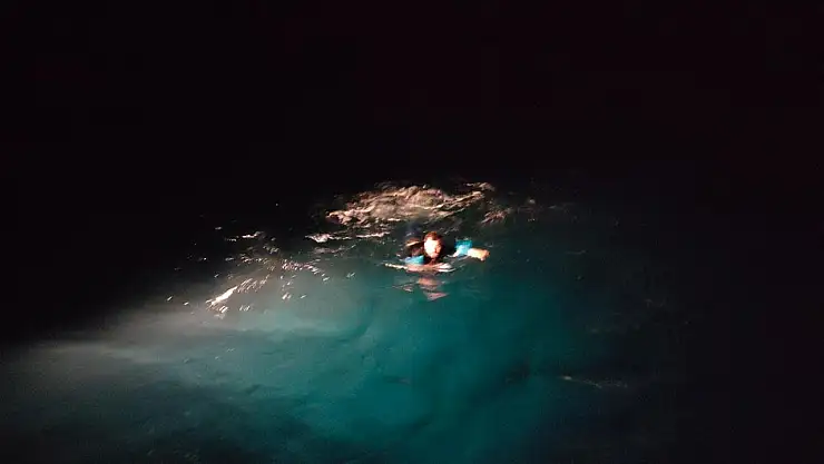 Yüzerek Yunanistan'a Geçmeye Çalışan Göçmen Yakalandı