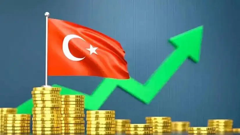 IMF Türkiye Raporunu Yayımladı
