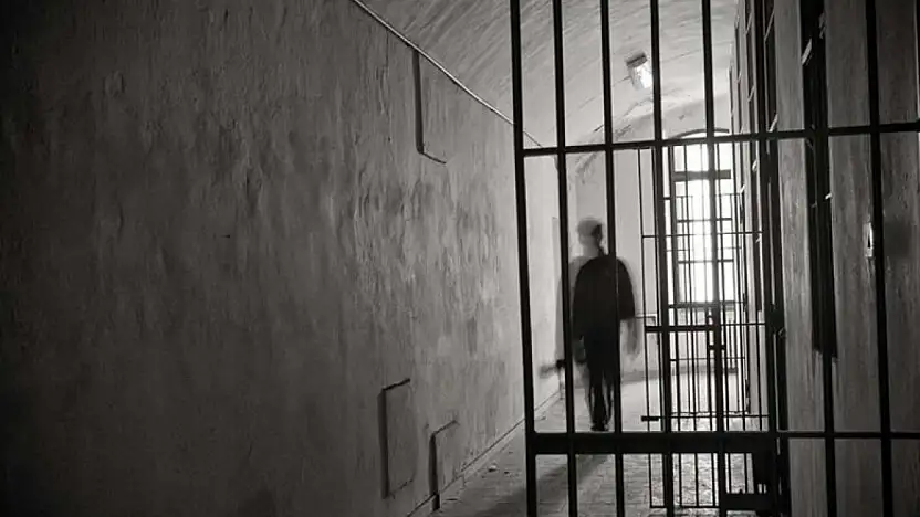 Adalet Bakanlığı Af Gelecek İddialarını Yalanladı