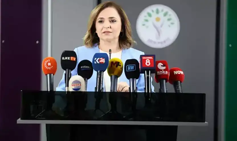 DEM Parti'li Doğan Silah Bırakan Herkes Düzenleme Kapsamına Girmeli