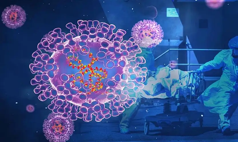 Korkulan Oldu Mutasyona Uğramış H3N2 Türkiye'de