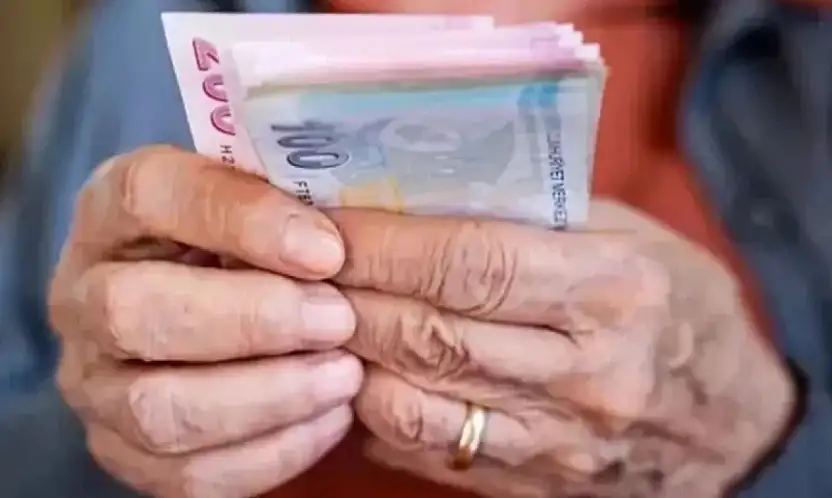 Vatandaşlık Maaşı Detayları Netleşti! Kimler Ne Kadar Alacak?