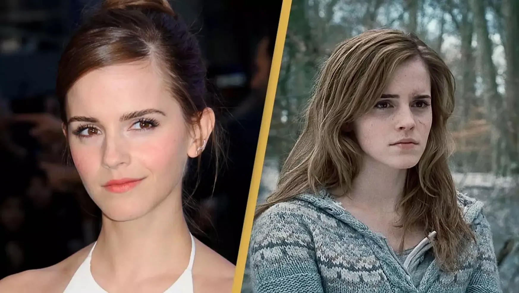 Emma Watson'dan Cinsel İçerikli Site Açıklaması: Pahalı Ama Sonuna Kadar Değer