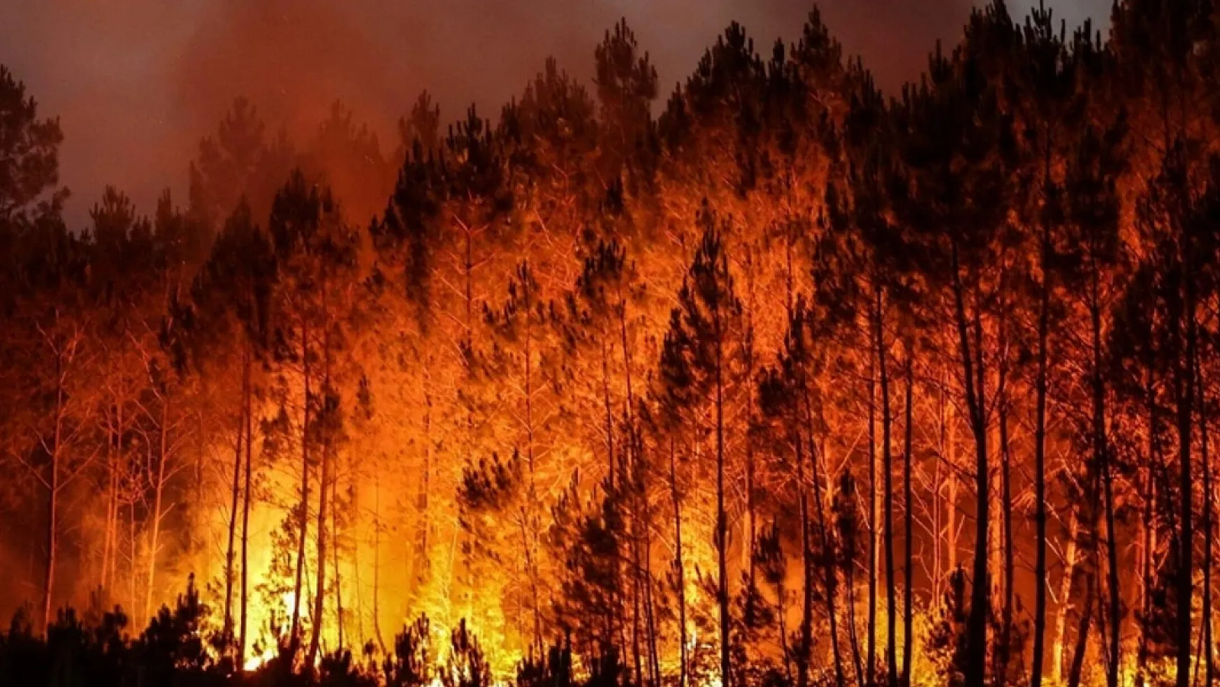 Meksika Yanıyor! 15 Eyalette 58 Orman Yangını