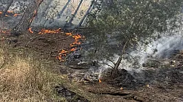 Orman yangınında 2 hektar alan küle döndü